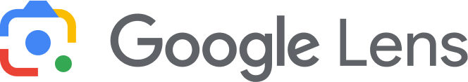 مساعد Google Gemini AI